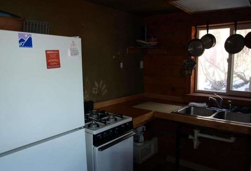 Brown Bear Saloon & Motel