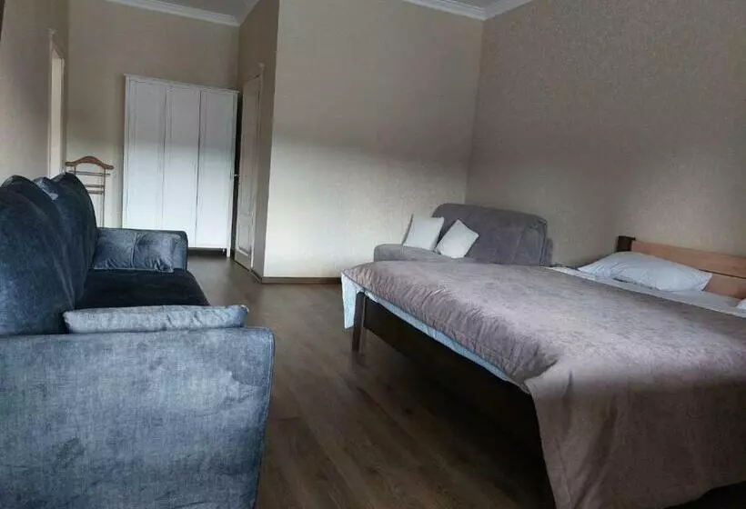 ホテル Dvir Litynskyi