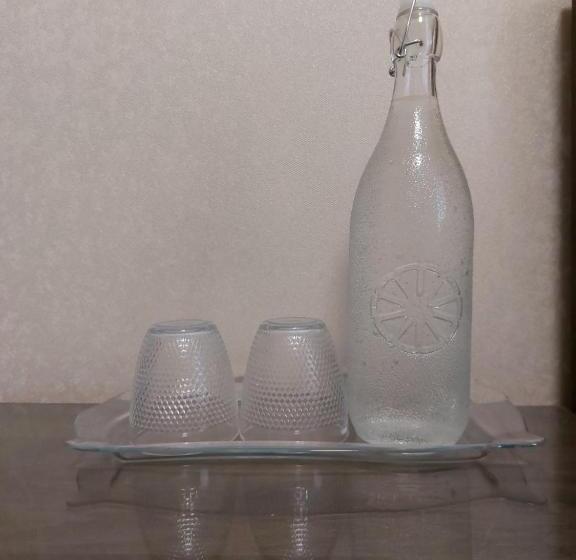 فندق Dvir Litynskyi