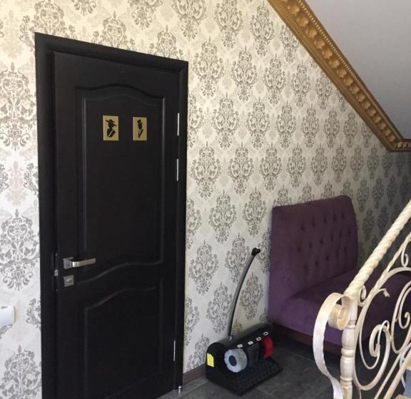 فندق Dvir Litynskyi