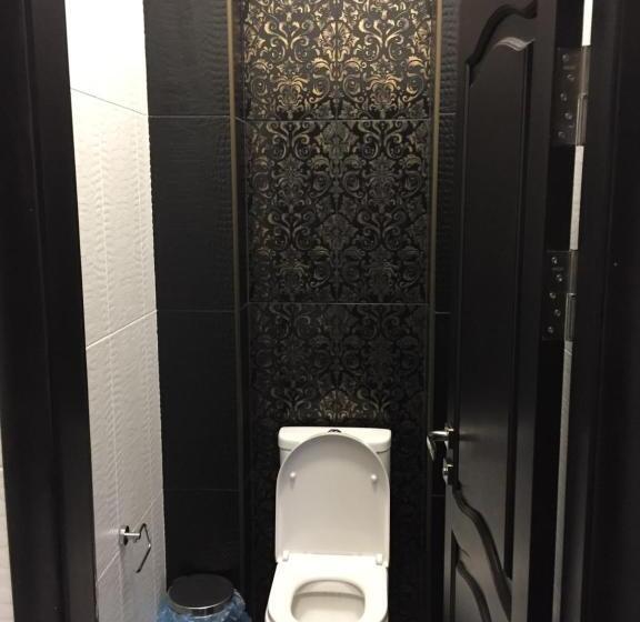 فندق Dvir Litynskyi