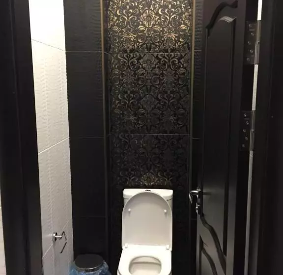 ホテル Dvir Litynskyi