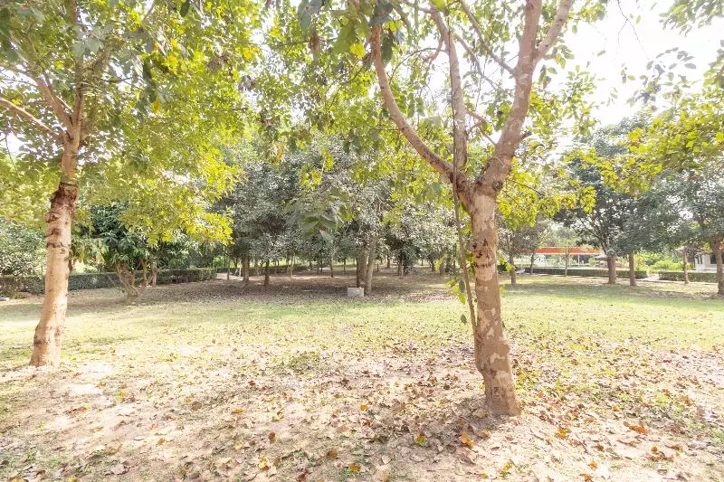 Hotelli Oyo 75359 Thaiburi Thara Resort