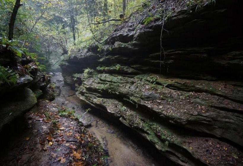 ホテル Turkey Run Inn & Cabins