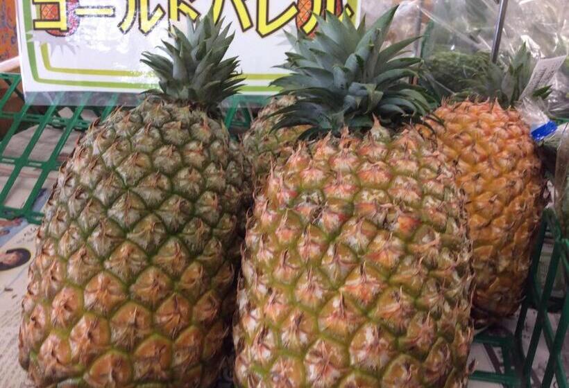 Pansiyon 東のオズ