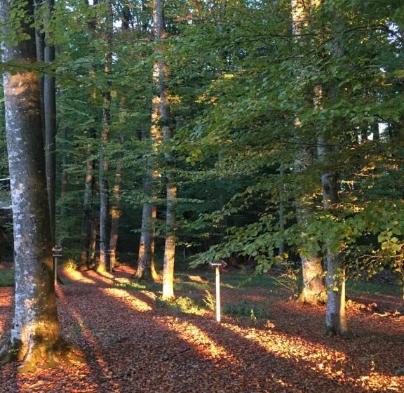 פנסיון Les Cabanes Du Mont