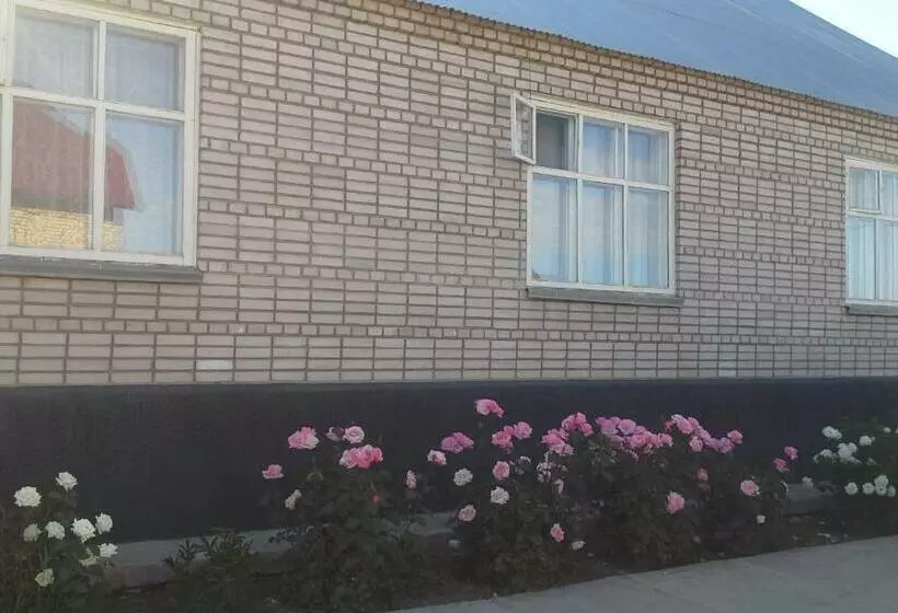 پانسیون Meerim Guest House