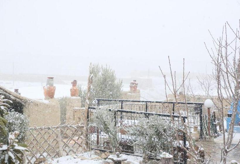 ユースホステル Auberge Palacio Sidi Hamza