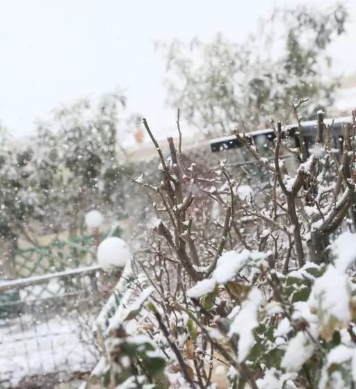 Auberge Palacio Sidi Hamza