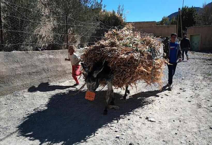 ユースホステル Auberge Palacio Sidi Hamza