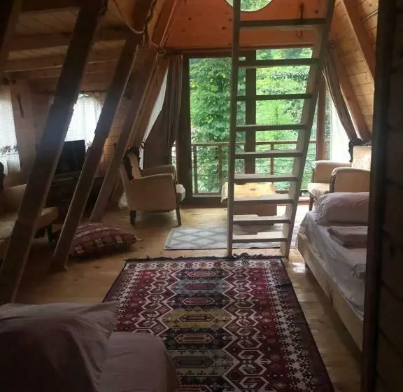 ベッドアンドブレックファースト Moromu Bungalows