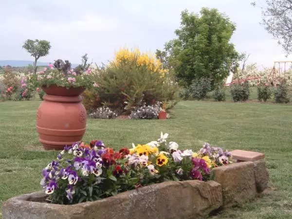 ホテル Agriturismo I Romiti