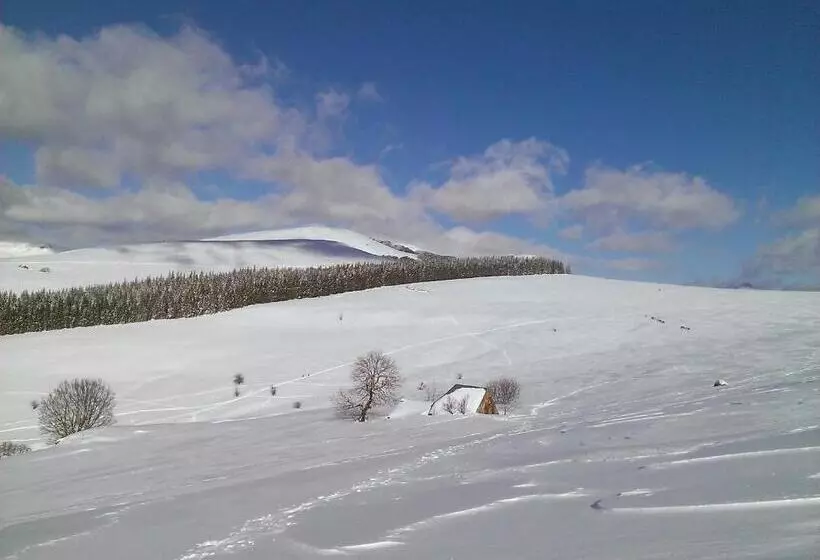 Hotelli Auberge Hôtel De Tournemire   Cantal