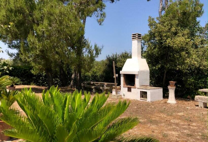 酒店 Casale Calavita