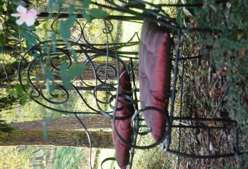 فندق Château Visz