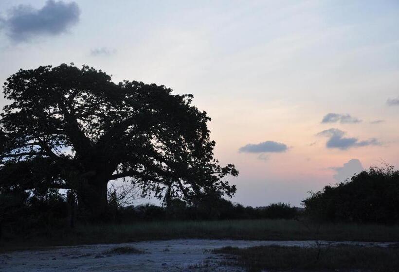 Отель Kijongo Bay Beach Resort