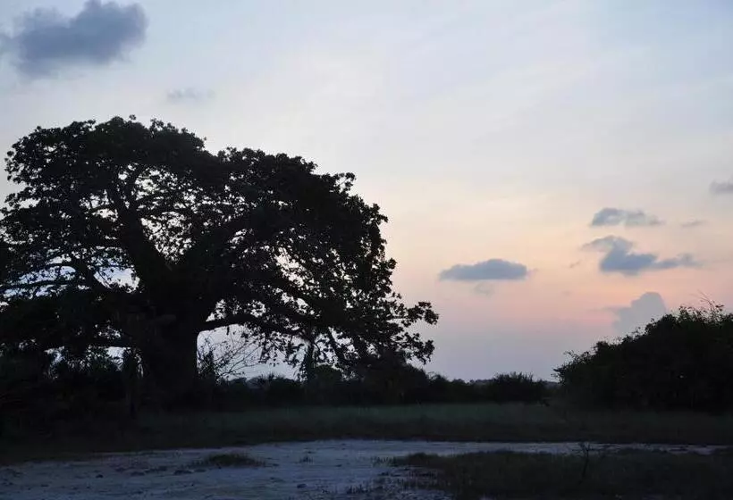 هتل Kijongo Bay Beach Resort