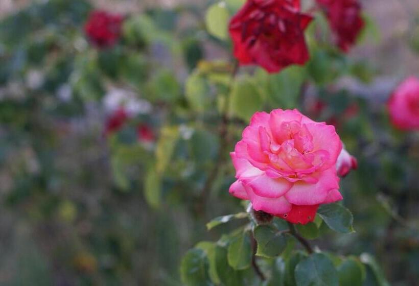 호텔 La Luna Nel Pozzo