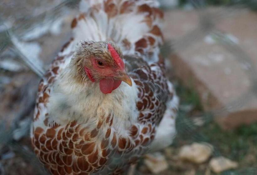 호텔 La Luna Nel Pozzo