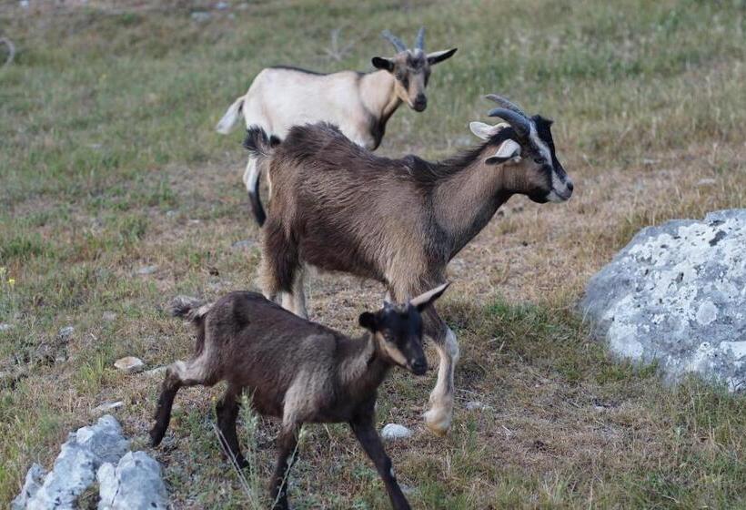 호텔 La Luna Nel Pozzo