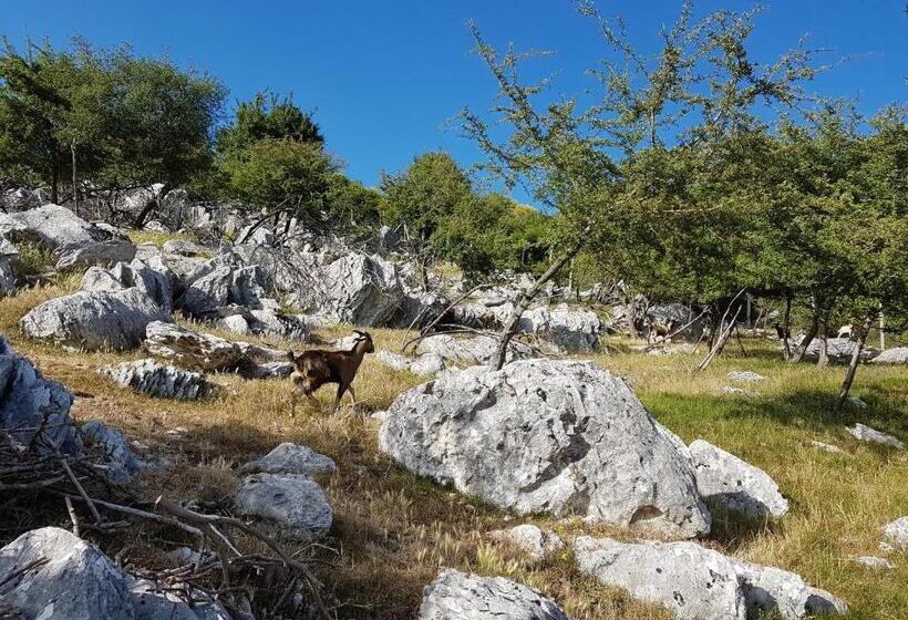 호텔 La Luna Nel Pozzo