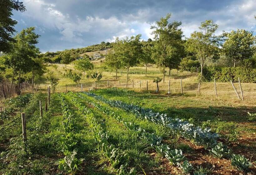 호텔 La Luna Nel Pozzo