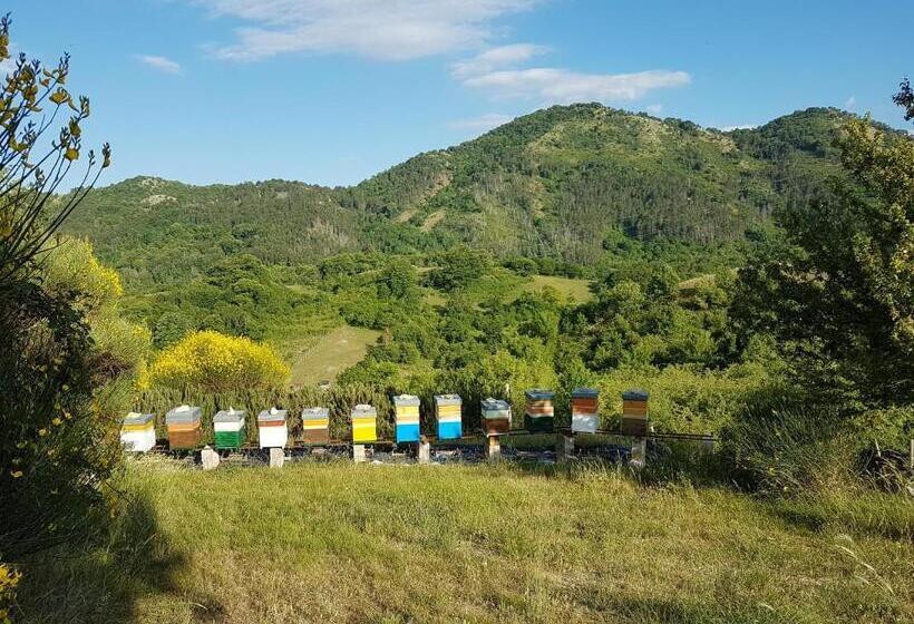 호텔 La Luna Nel Pozzo