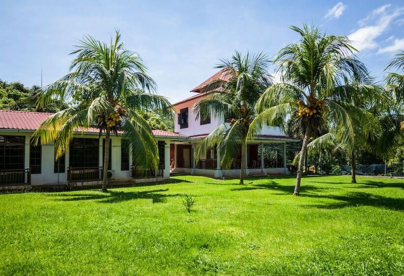 Hotel Oyo 44033 Terap Inn Kuala Nerang