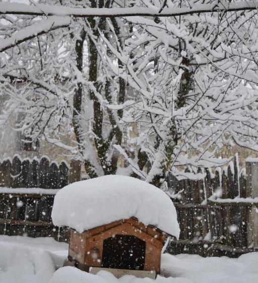 پانسیون Barbara S Eco Cozy Guesthouse