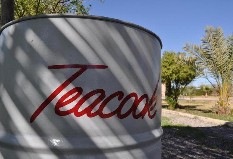 بنسيون Teacook Marrakech