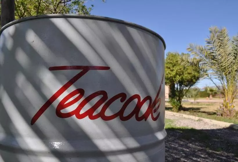 Majatalo Teacook Marrakech