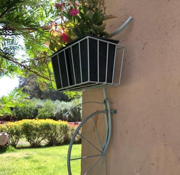 بنسيون Teacook Marrakech