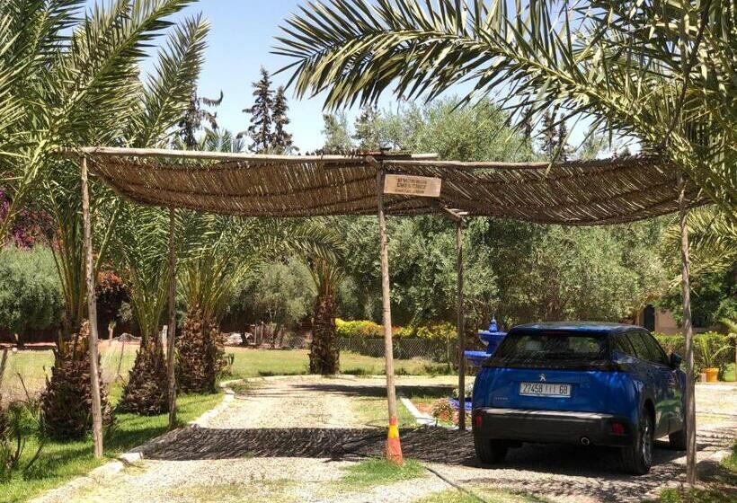 بنسيون Teacook Marrakech