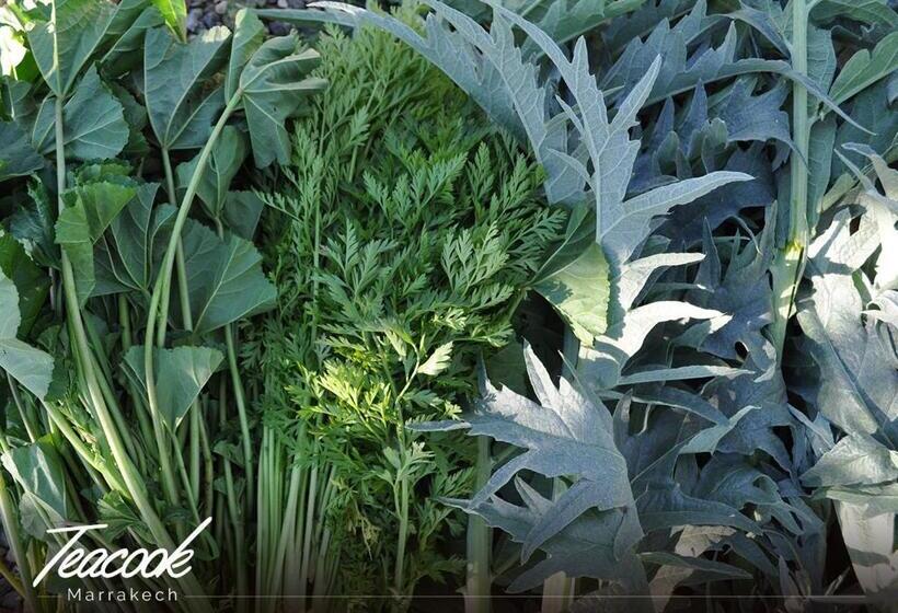 بنسيون Teacook Marrakech