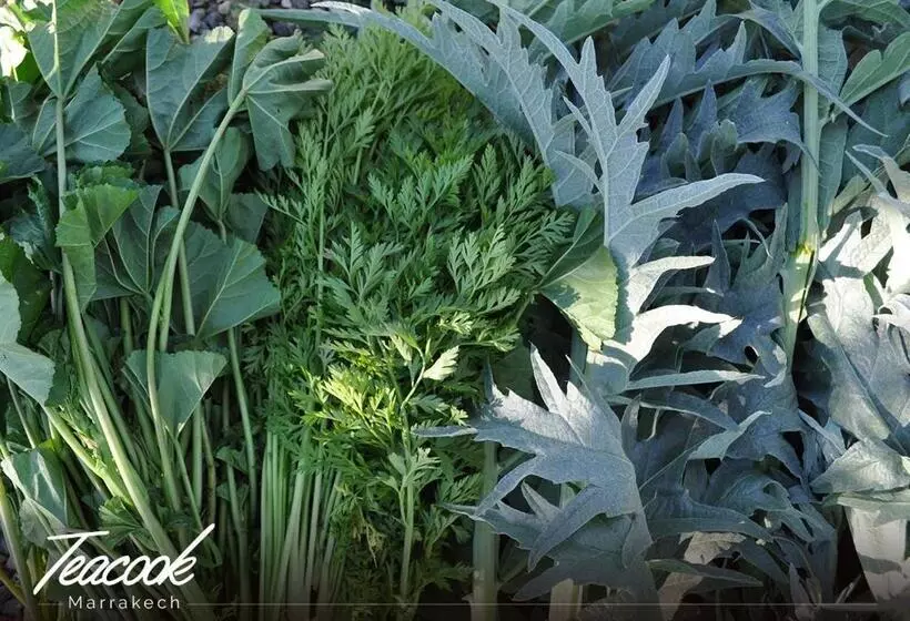 Majatalo Teacook Marrakech