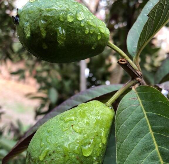 بنسيون Teacook Marrakech