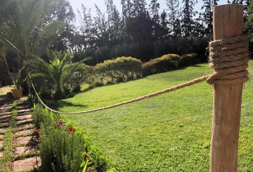 بنسيون Teacook Marrakech