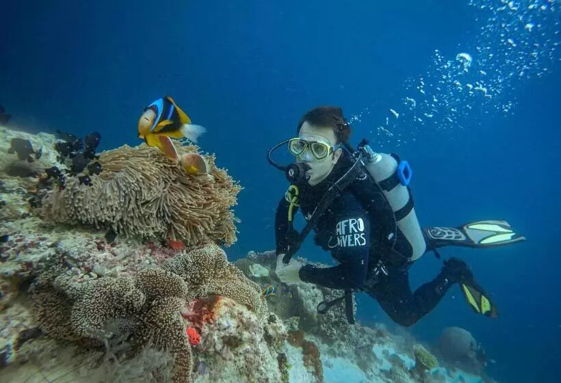 Lomakeskus Pemba Paradise