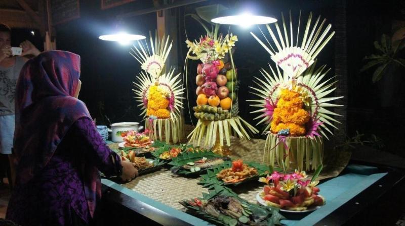 膳宿费 Penida Dive Resort