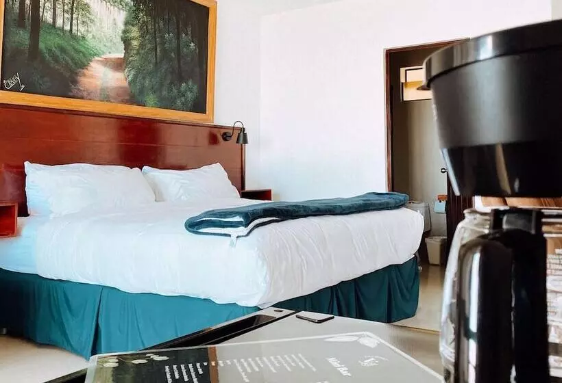 Verdant Hotel & Holistic Experience