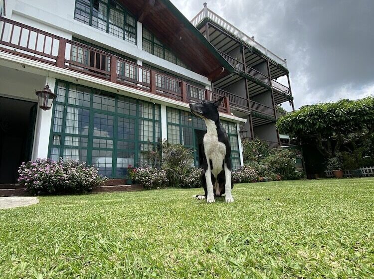 Verdant Hotel & Holistic Experience