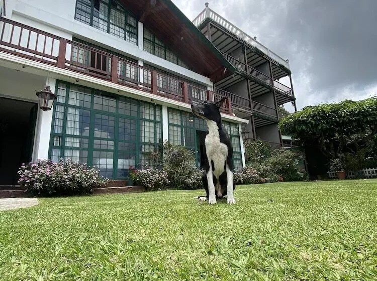 Verdant Hotel & Holistic Experience