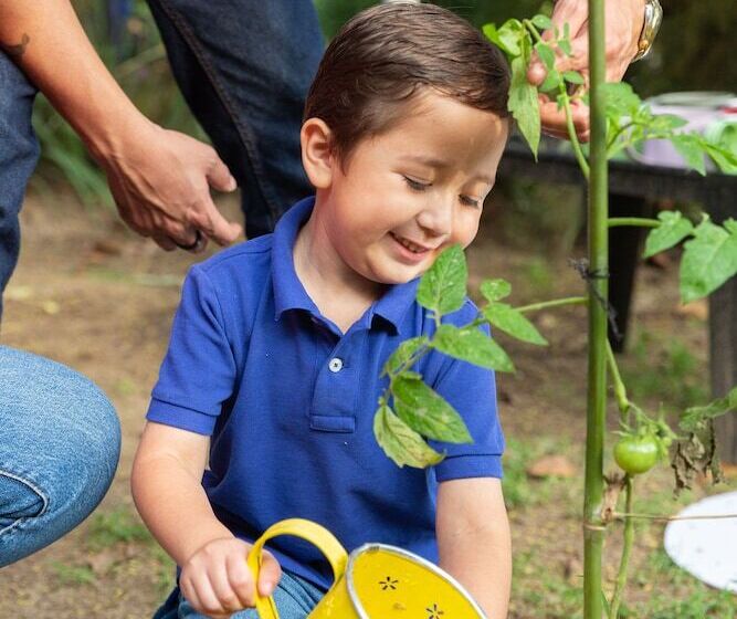 Verdant Hotel & Holistic Experience