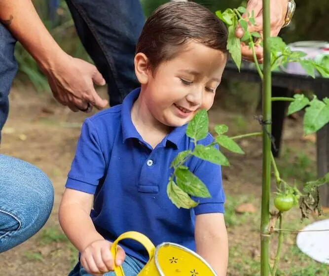 Verdant Hotel & Holistic Experience