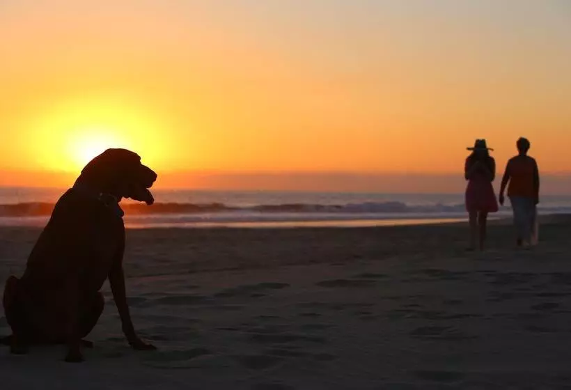 Retkeilymaja Samora Luxury Resort