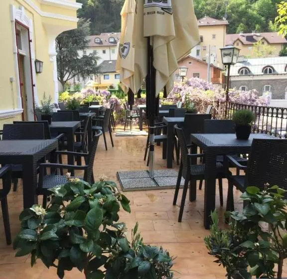 ユースホステル Vintage Castle Schlosshof B&b