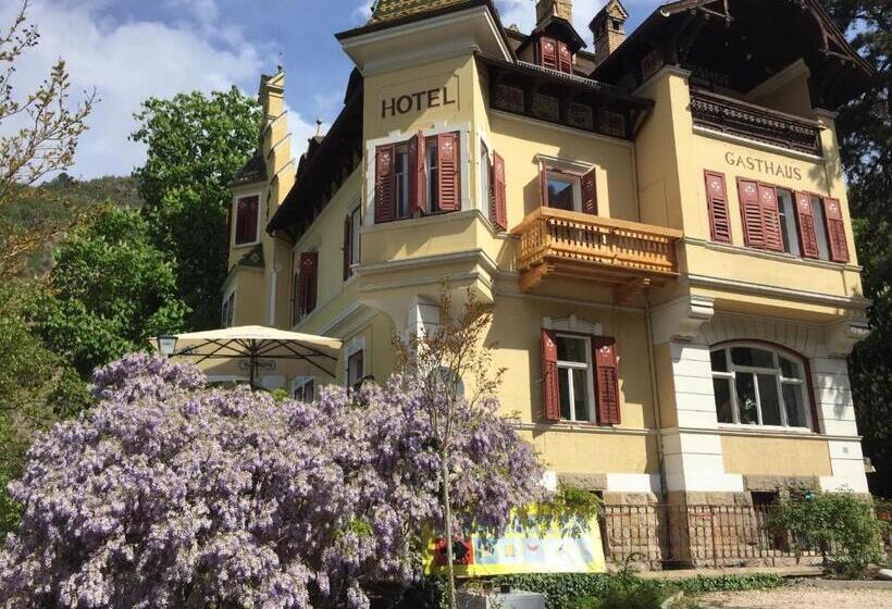 ユースホステル Vintage Castle Schlosshof B&b