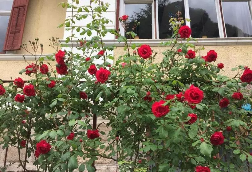 ユースホステル Vintage Castle Schlosshof B&b