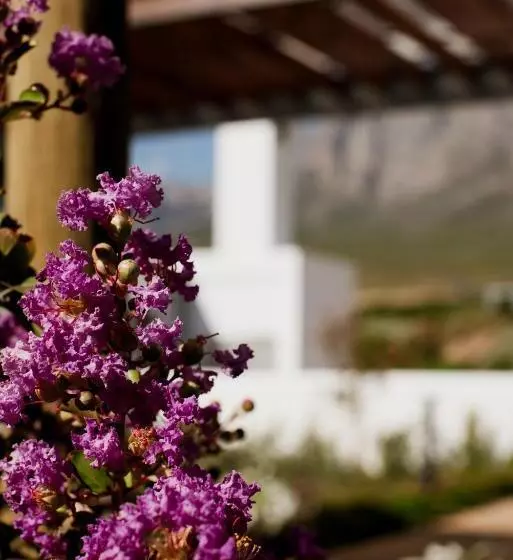 Aamiaismajoitus (B&B) Bosjes   Herehuis