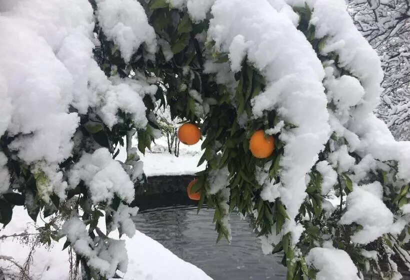 Aamiaismajoitus (B&B) Casona El Resguardo   Solo Adultos